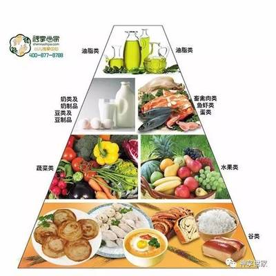 吃得好不等于營養好 揭秘豆類與薯類的營養密碼